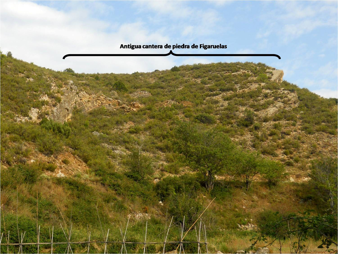 Cantera de Figaruelas. Vista general