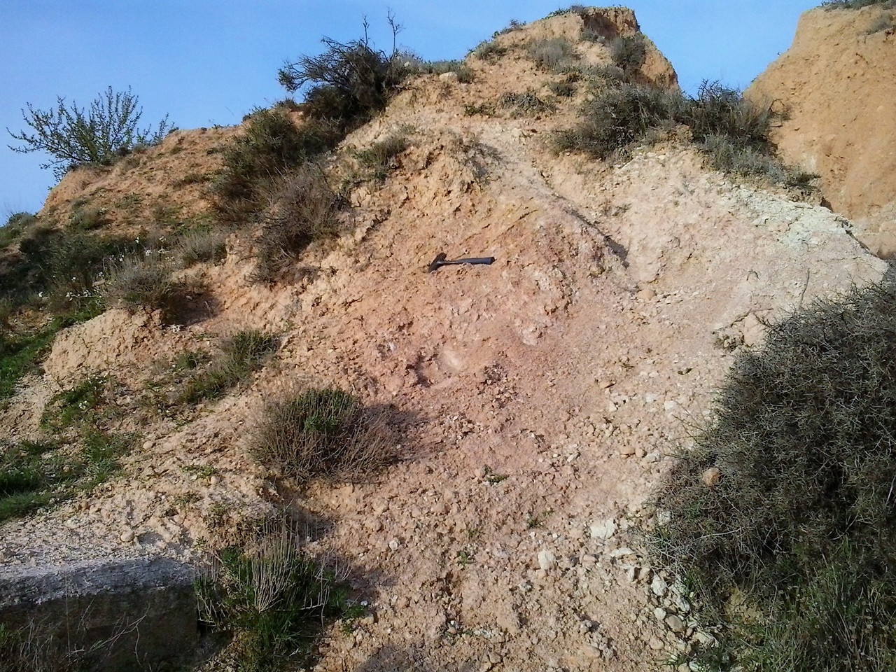 Vertebrados pescarranas