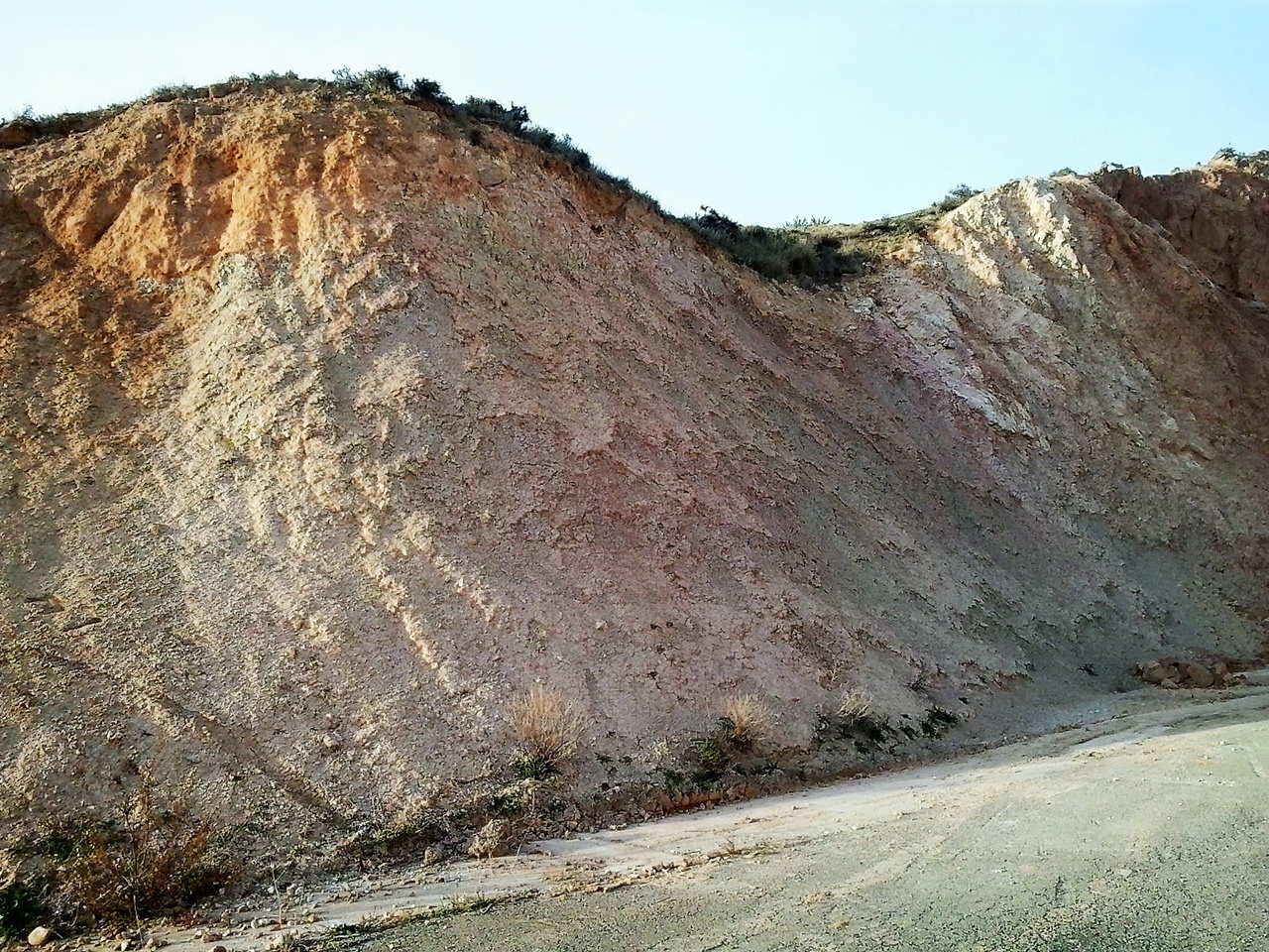 Vertebrados pescarranas